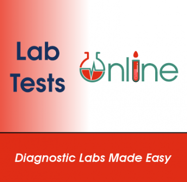 Lab Lab